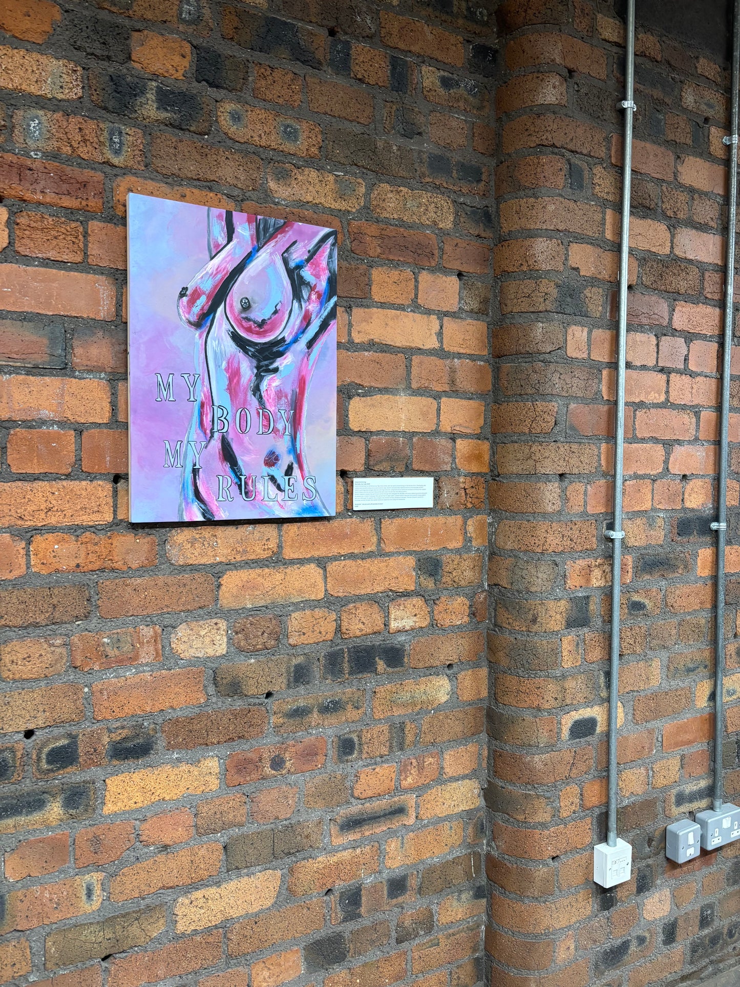 'My Body, My Rules' Original Artwork